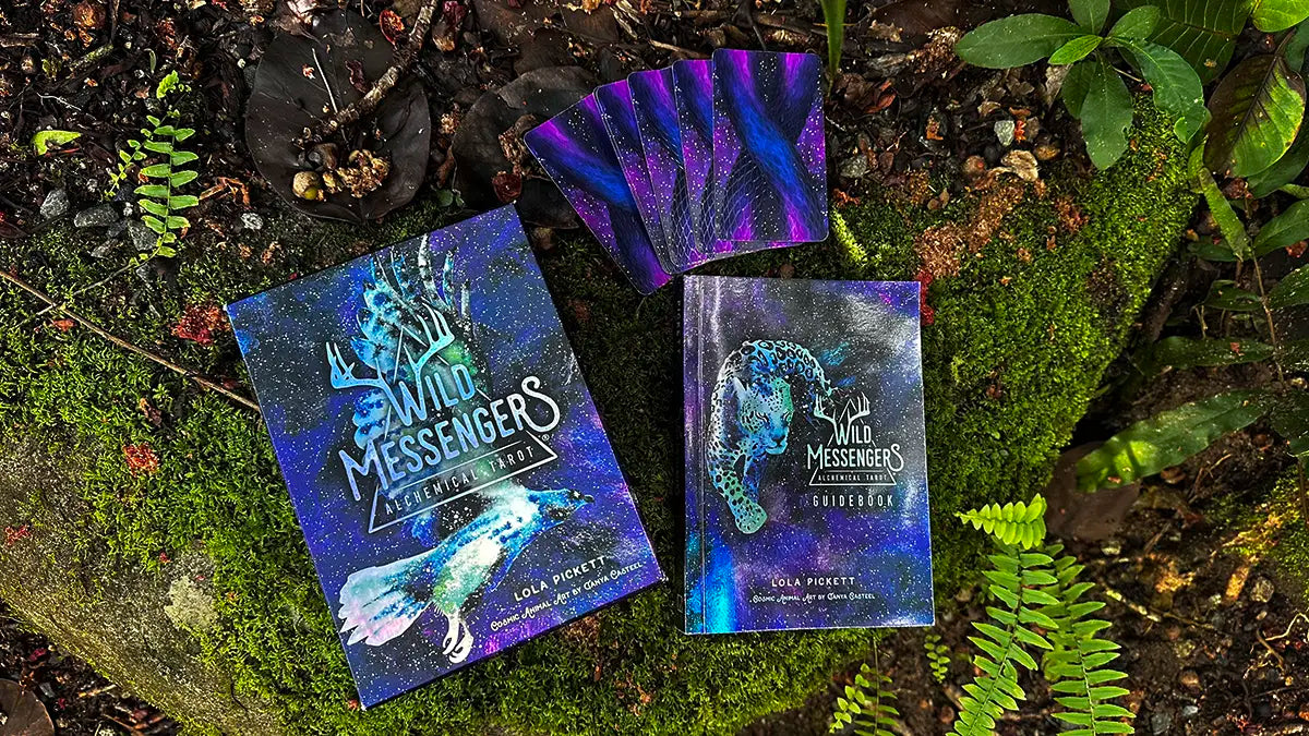 Wild Messengers® Alchemical Tarot in the Costa Rica forest — deck in nature